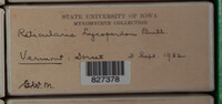 Image Associated With the Occurence